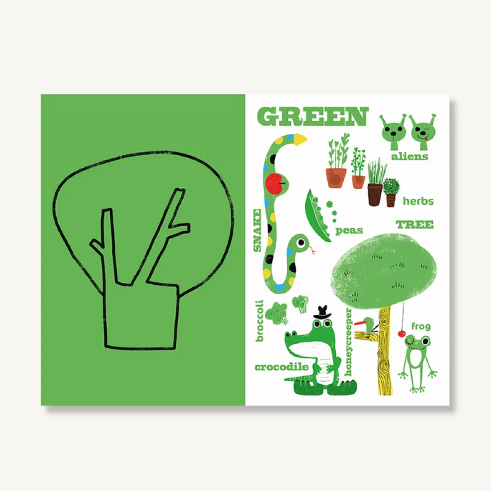 Chronicle Books Mr. Bear's Colors Fashion