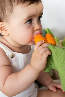 Hotaling Imports Oli & Carol Cathy the Carrot Mini Doudou Teether Fashion