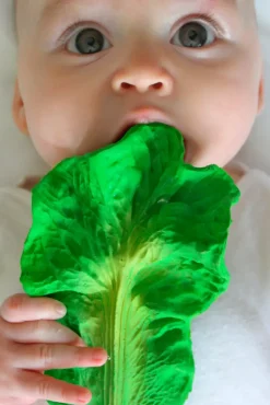 Hotaling Imports Oli & Carol Kendall the Kale Teether Online
