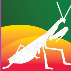 Hachette Paint By Sticker Kids: Beautiful Bugs Hot