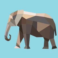 Hachette Paint by Sticker Kids: Zoo Animals Fashion