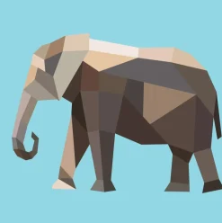 Hachette Paint by Sticker Kids: Zoo Animals Fashion