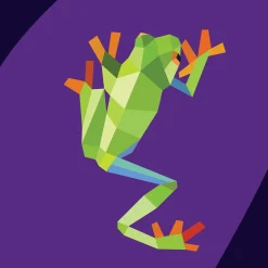 Hachette Paint by Sticker Kids: Zoo Animals Fashion