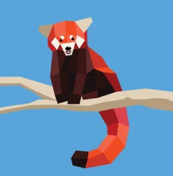 Hachette Paint by Sticker Kids: Zoo Animals Fashion