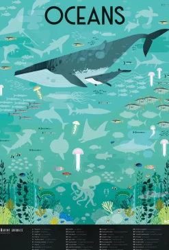 DAM Poppik Discovery Posters - Ocean New