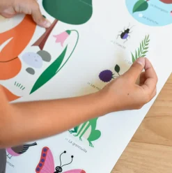 DAM Poppik Discovery Posters - Forest Clearance