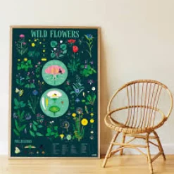 DAM Poppik Discovery Posters - Botanic Hot