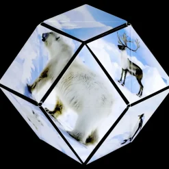 Fun in Motion Toys Shashibo Animal Series: Arctic Online