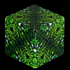 Fun in Motion Toys Shashibo Animal Series: Forest Outlet