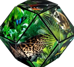 Fun in Motion Toys Shashibo Animal Series: Jungle Hot