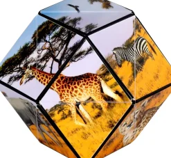 Fun in Motion Toys Shashibo Animal Series: Savanah Online