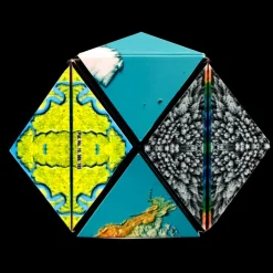 Fun in Motion Toys Shashibo Earth Online