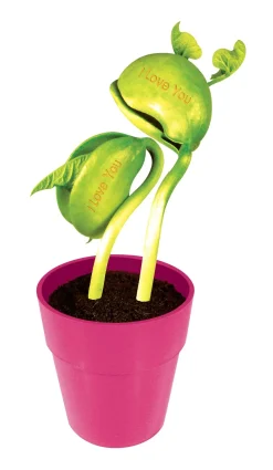 Silver Circle Products Inc. : I Love You Bean New