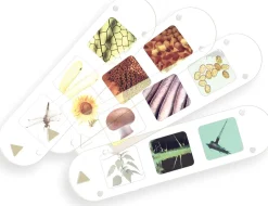 Thames Kosmos Thames & Kosmos Kids First Big & Fun Microscope Online