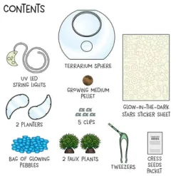 Thames Kosmos Thames & Kosmos Wow in the World: Light-Up Terrarium Online