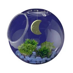 Thames Kosmos Thames & Kosmos Wow in the World: Light-Up Terrarium Online